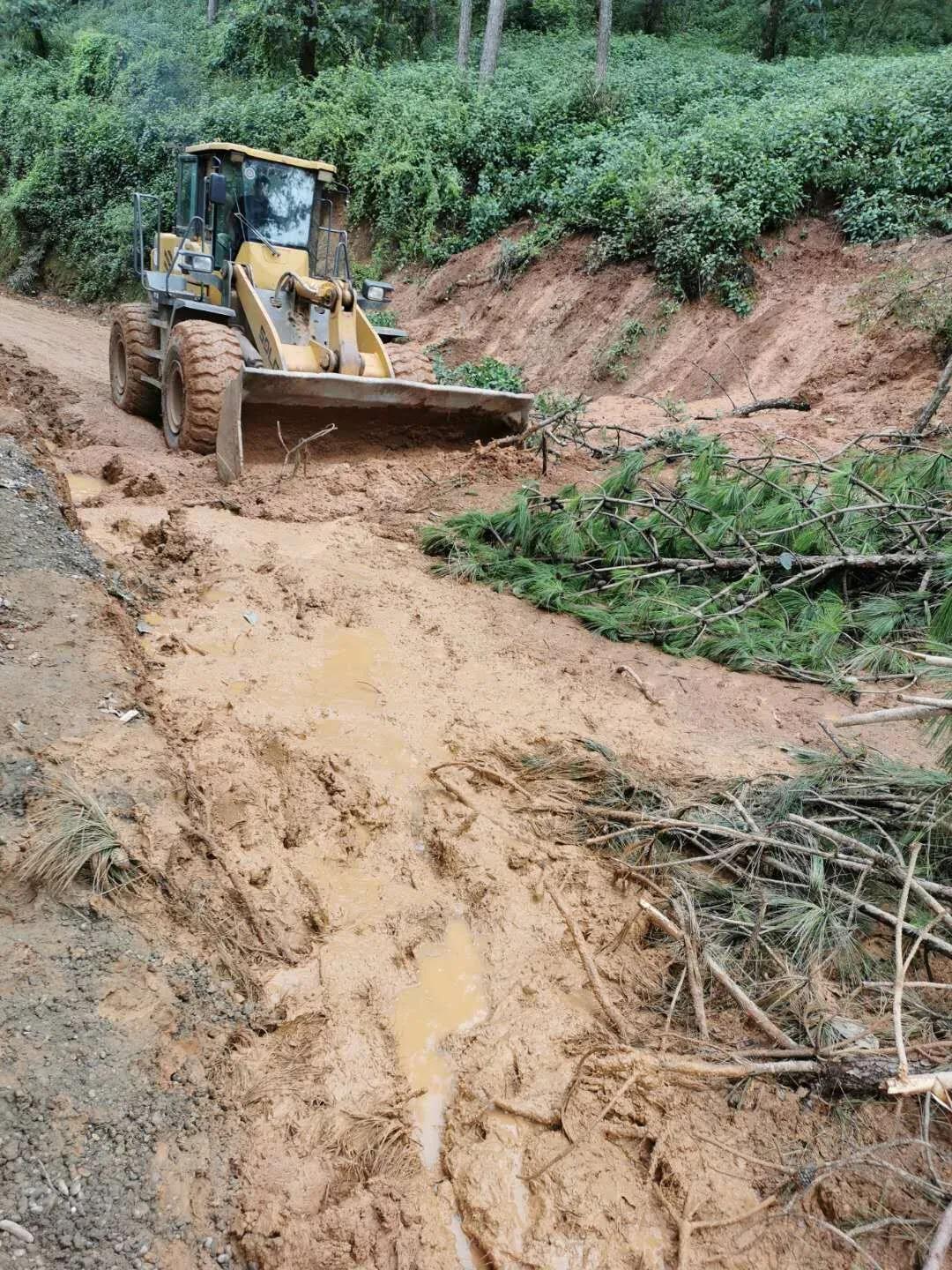 微信图片_20200821172236.jpg 十大网投靠谱网站