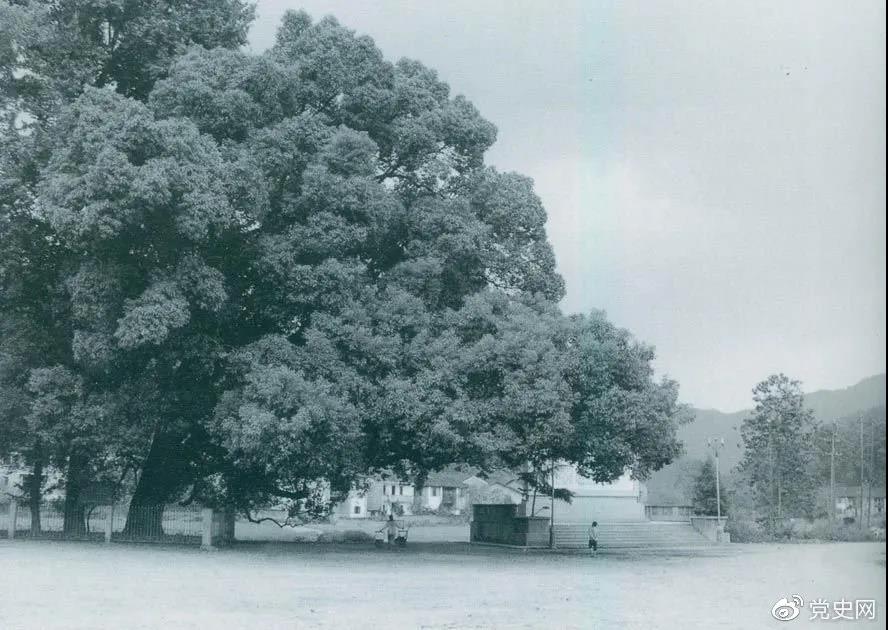 十大网投靠谱网站